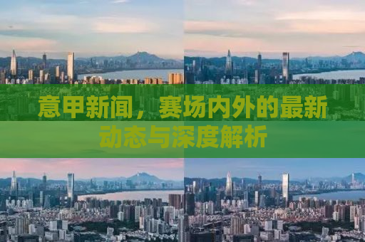 意甲新闻，赛场内外的最新动态与深度解析