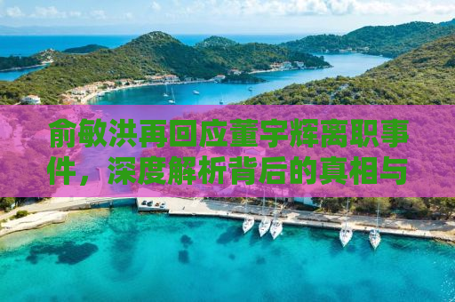 俞敏洪再回应董宇辉离职事件，深度解析背后的真相与启示