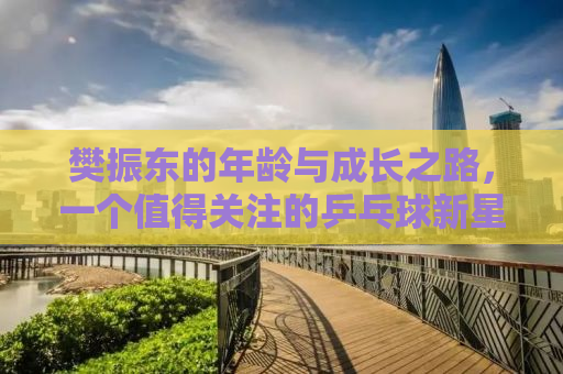 樊振东的年龄与成长之路，一个值得关注的乒乓球新星