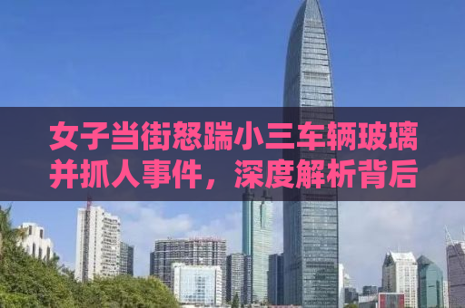 女子当街怒踹小三车辆玻璃并抓人事件，深度解析背后的情感纠葛与社会影响