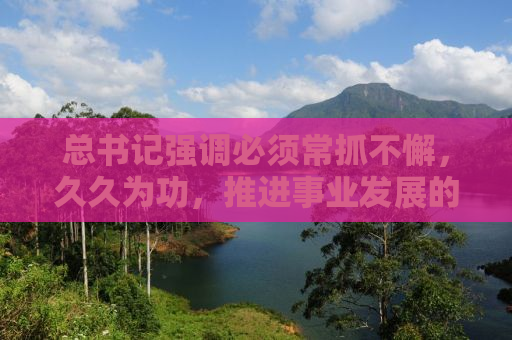 总书记强调必须常抓不懈，久久为功，推进事业发展的坚定决心与持续努力