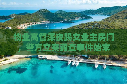 物业高管深夜踢女业主房门，警方立案调查事件始末