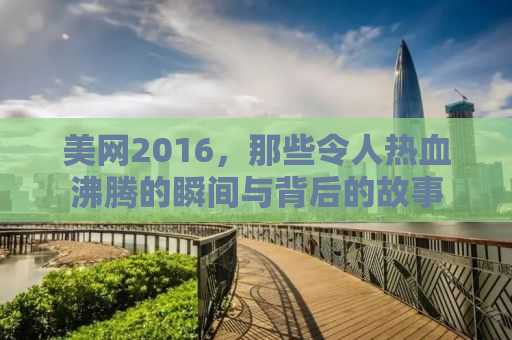 美网2016，那些令人热血沸腾的瞬间与背后的故事