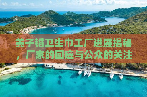 黄子韬卫生巾工厂进展揭秘，厂家的回应与公众的关注