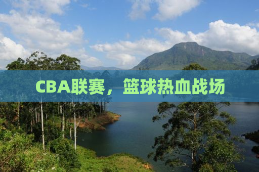 CBA联赛，篮球热血战场