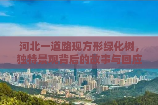 河北一道路现方形绿化树，独特景观背后的故事与回应