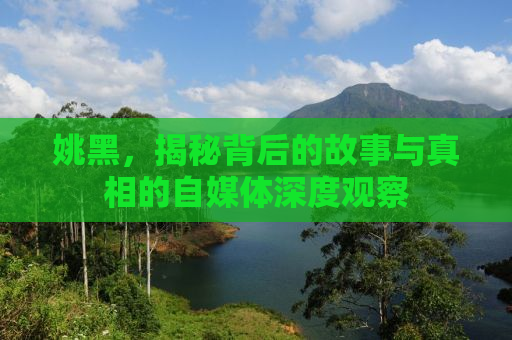 姚黑，揭秘背后的故事与真相的自媒体深度观察