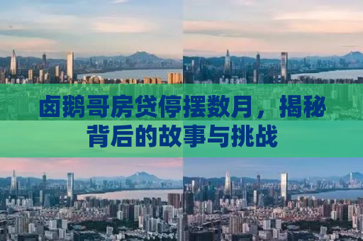 卤鹅哥房贷停摆数月，揭秘背后的故事与挑战