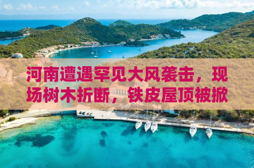 河南遭遇罕见大风袭击，现场树木折断，铁皮屋顶被掀飞，最高风力达15级！