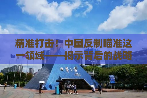 精准打击！中国反制瞄准这一领域——揭示背后的战略与意义