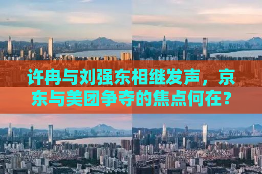 许冉与刘强东相继发声，京东与美团争夺的焦点何在？