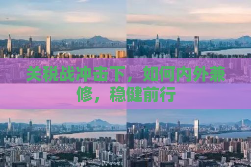 关税战冲击下，如何内外兼修，稳健前行