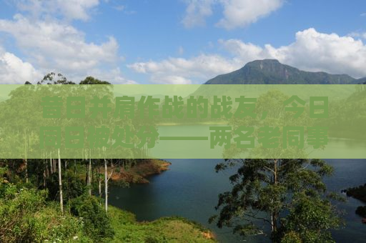 昔日并肩作战的战友，今日同日被处分——两名老同事的警示录