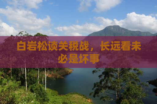 白岩松谈关税战，长远看未必是坏事