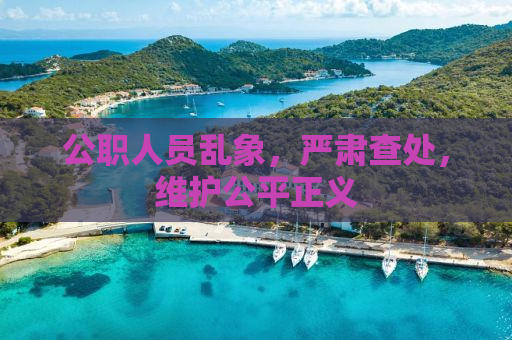 公职人员乱象，严肃查处，维护公平正义
