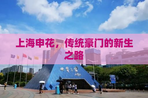 上海申花，传统豪门的新生之路