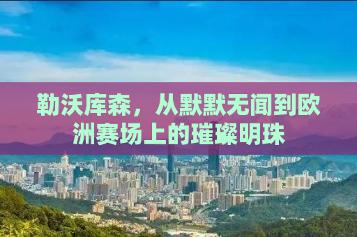 勒沃库森，从默默无闻到欧洲赛场上的璀璨明珠