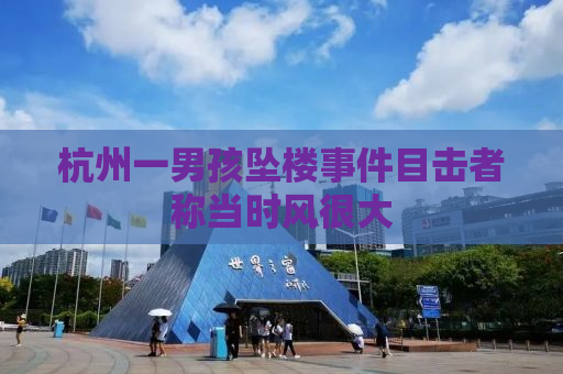 杭州一男孩坠楼事件目击者称当时风很大