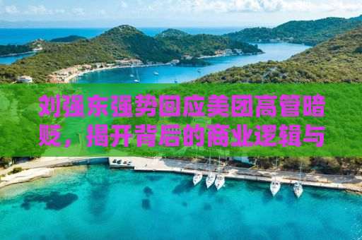 刘强东强势回应美团高管暗贬，揭开背后的商业逻辑与竞争态势
