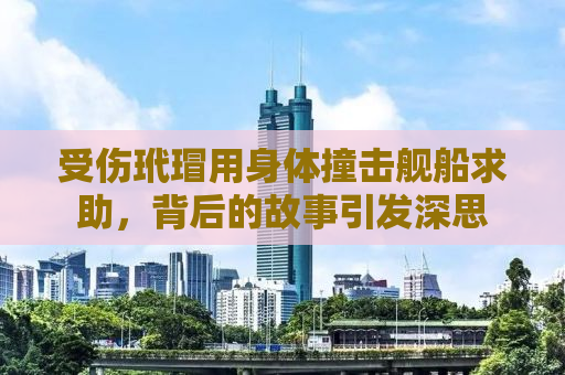 受伤玳瑁用身体撞击舰船求助，背后的故事引发深思