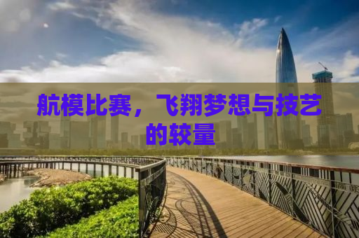 航模比赛，飞翔梦想与技艺的较量