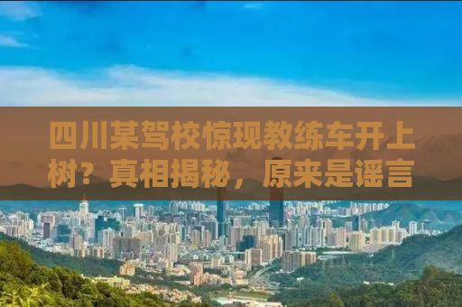 四川某驾校惊现教练车开上树？真相揭秘，原来是谣言！