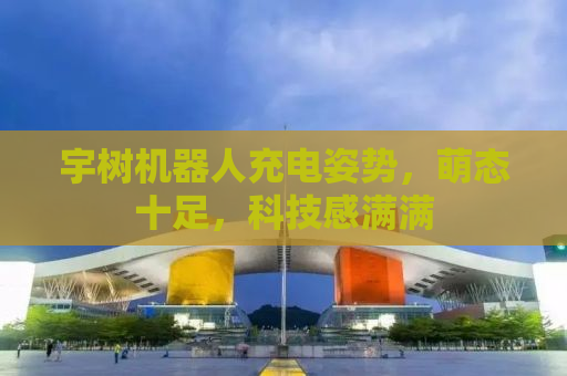 宇树机器人充电姿势，萌态十足，科技感满满