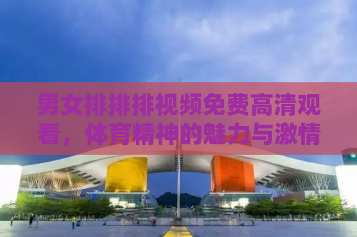 男女排排排视频免费高清观看，体育精神的魅力与激情碰撞的瞬间