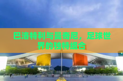 巴洛特利与曼奇尼，足球世界的独特组合
