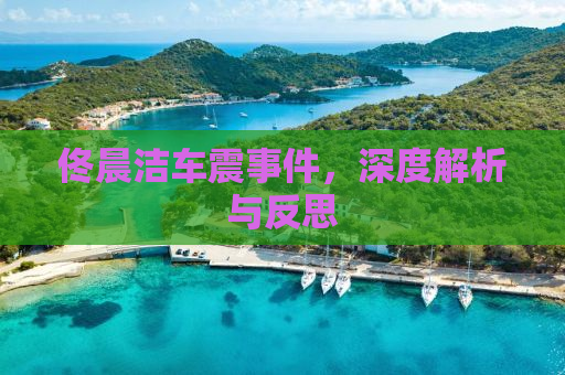 佟晨洁车震事件，深度解析与反思
