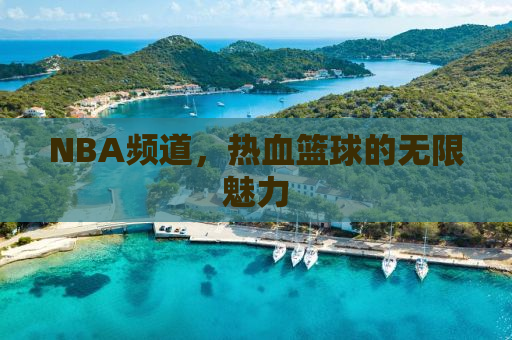NBA频道，热血篮球的无限魅力
