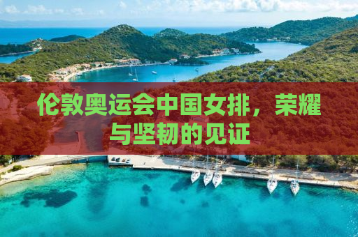 伦敦奥运会中国女排，荣耀与坚韧的见证