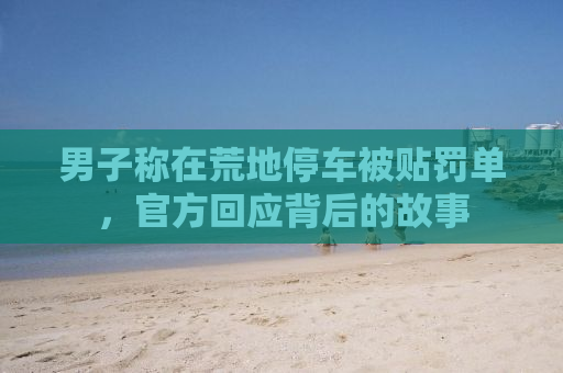 男子称在荒地停车被贴罚单，官方回应背后的故事