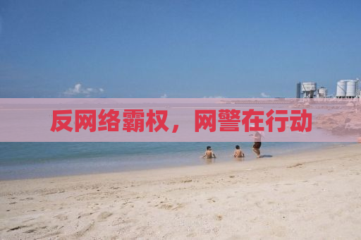 反网络霸权，网警在行动