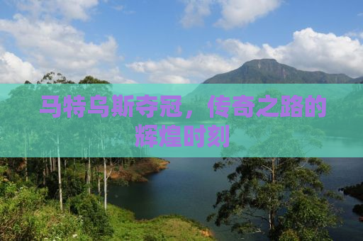 马特乌斯夺冠，传奇之路的辉煌时刻