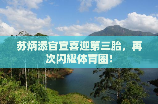 苏炳添官宣喜迎第三胎，再次闪耀体育圈！