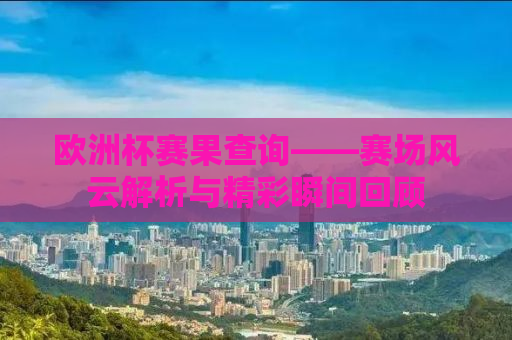 欧洲杯赛果查询——赛场风云解析与精彩瞬间回顾