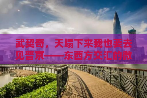 武契奇，天塌下来我也要去见普京——东西方交汇的微妙时刻
