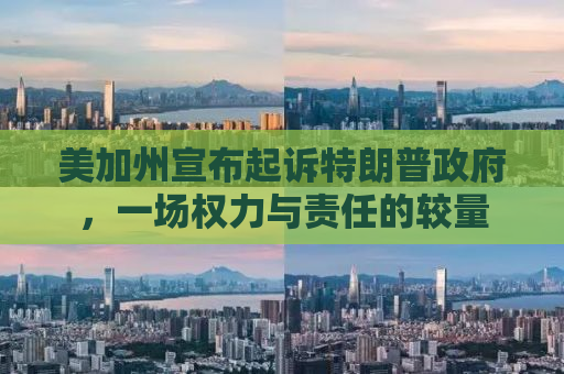 美加州宣布起诉特朗普政府，一场权力与责任的较量