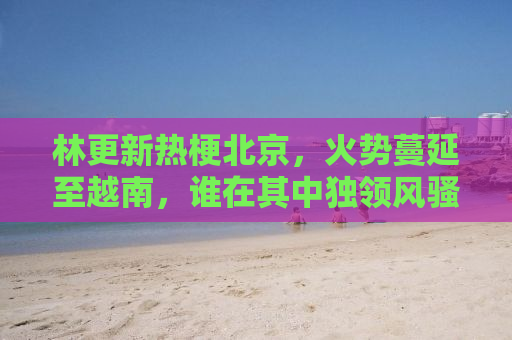 林更新热梗北京，火势蔓延至越南，谁在其中独领风骚？