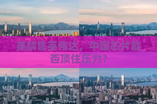 美禁售英伟达，中国芯片能否顶住压力？