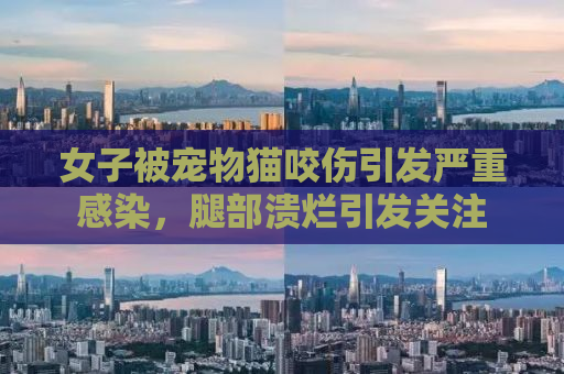女子被宠物猫咬伤引发严重感染，腿部溃烂引发关注