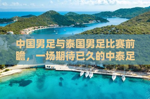 中国男足与泰国男足比赛前瞻，一场期待已久的中泰足球盛宴即将上演！