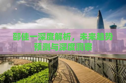 邵佳一深度解析，未来趋势预测与深度洞察