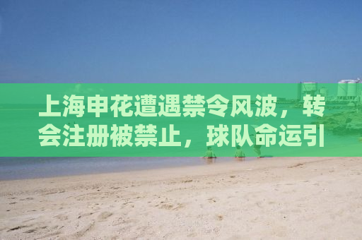 上海申花遭遇禁令风波，转会注册被禁止，球队命运引关注