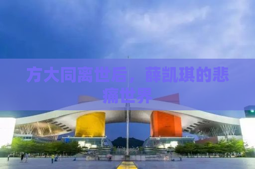 方大同离世后，薛凯琪的悲痛世界