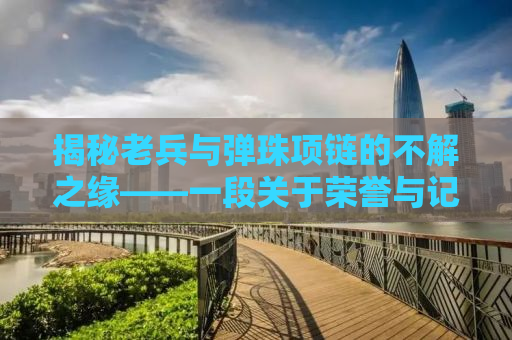 揭秘老兵与弹珠项链的不解之缘——一段关于荣誉与记忆的独特故事