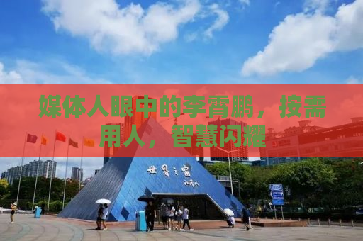 媒体人眼中的李霄鹏，按需用人，智慧闪耀