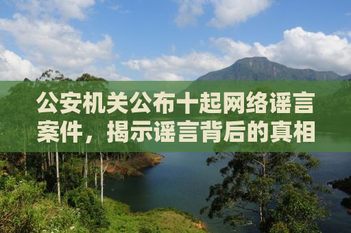 公安机关公布十起网络谣言案件，揭示谣言背后的真相与警示社会大众
