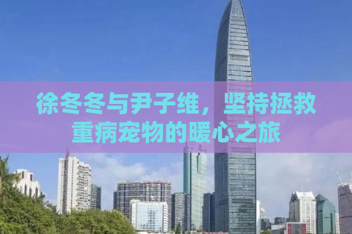徐冬冬与尹子维，坚持拯救重病宠物的暖心之旅